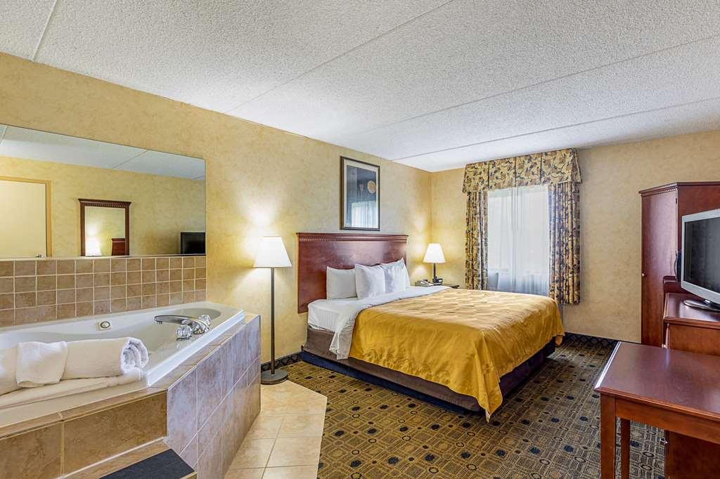 Quality Inn & Suites Coldwater Near I-69 Zimmer foto