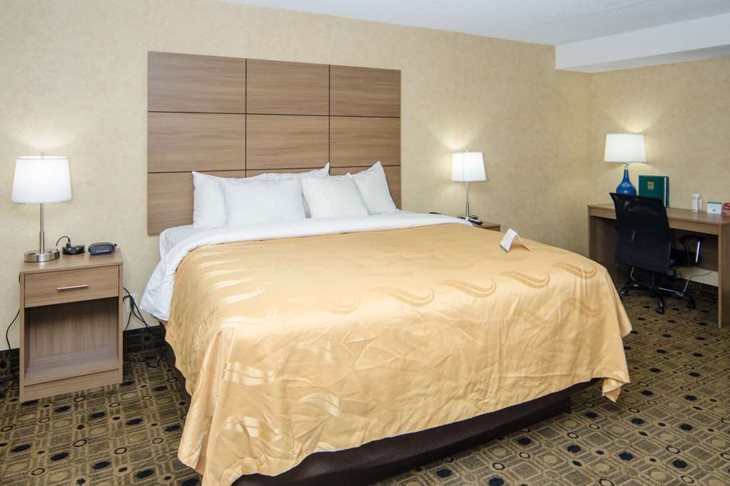 Quality Inn & Suites Coldwater Near I-69 Zimmer foto